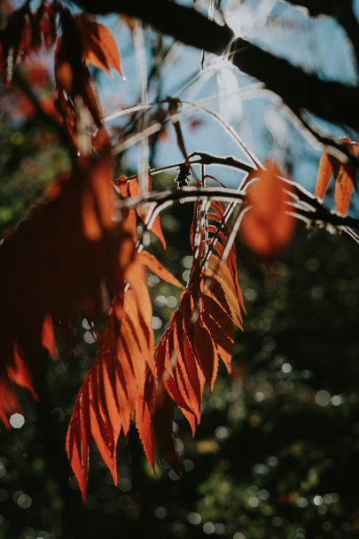 Un mariage en automne en Bourgogne au Domaine du Bouloy - A découvrir sur le blog mariage www.lamarieeauxpiedsnus.com - Photos : Benjamin Le Du