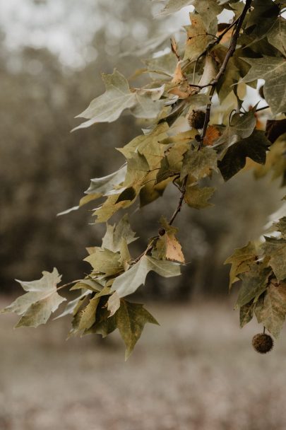 Un mariage bohème et végétal dans le Béarn - Photos : Patricia Hendrychova-Estanguet - Blog mariage : La mariée aux pieds nus