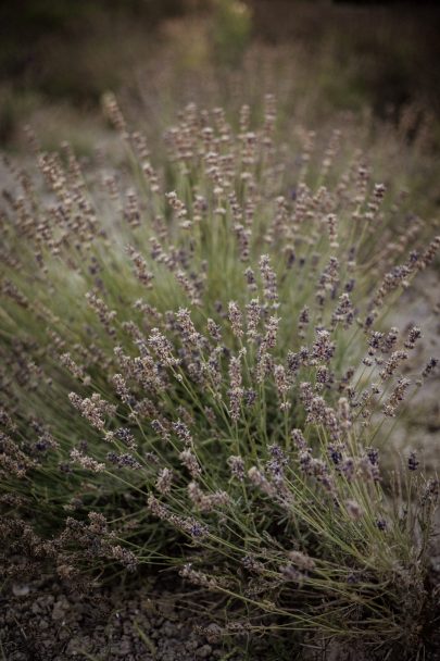 Un mariage bohème en Provence - Photos : Dall'k - Blog mariage : La mariée aux pieds nus