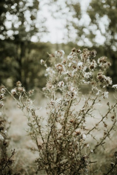 Un mariage en Bourgogne - Photos : Coralie Lescieux - Blog mariage : La mariée aux pieds nus