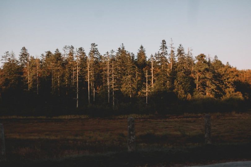 Un mariage dans la forêt de Brocéliande - Photos : Les bandits - Blog mariage : La mariée aux pieds nus