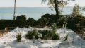 Un mariage au Cap Ferret face à l'océan - Photos : Pauline H Photographe - Blog mariage : La mariée aux pieds nus