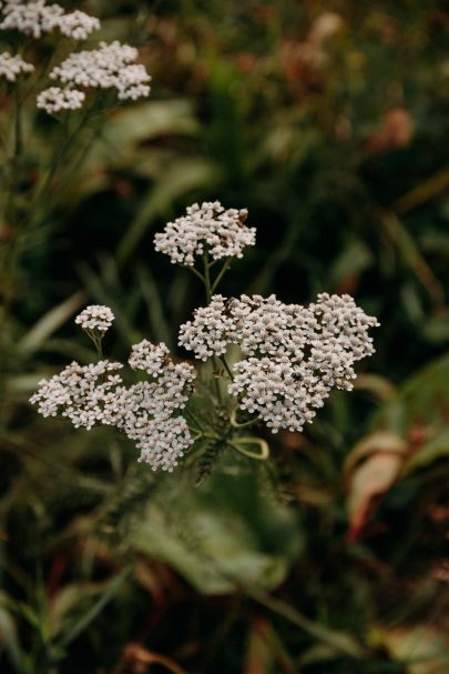 Un mariage dans un chalet de Haute-Savoie - Photos : Le Labo N°3 - Blog mariage : La mariée aux pieds nus