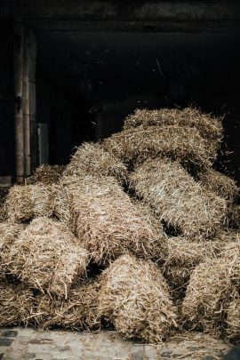 Un mariage champêtre en Alsace - Photos : Steven Bassilieaux - Blog mariage : La mariée aux pieds nus