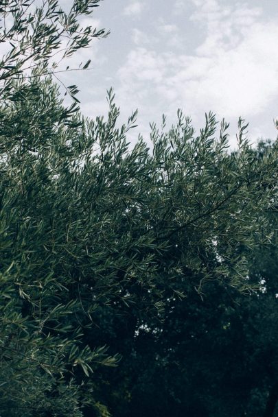 Un mariage champêtre au Comptoir Saint Hilaire dans le Gard - Décoration : Atelier Blanc - Photos : Ingrid Lepan - Blog mariage : La mariée aux pieds nus