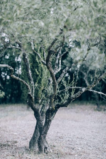 Un mariage champêtre au Comptoir Saint Hilaire dans le Gard - Décoration : Atelier Blanc - Photos : Ingrid Lepan - Blog mariage : La mariée aux pieds nus