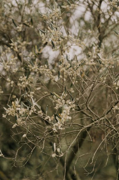 Un mariage champêtre et élégant au Mas d'Arvieux en Provence - Photos : Julien Navarre - Blog mariage : La mariée aux pieds nus