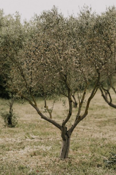 Un mariage champêtre et élégant au Mas d'Arvieux en Provence - Photos : Julien Navarre - Blog mariage : La mariée aux pieds nus