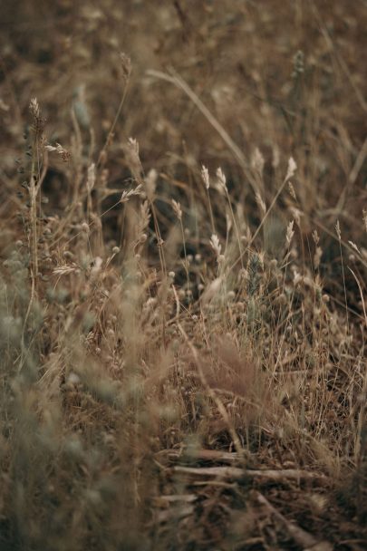 Un mariage champêtre et élégant au Mas d'Arvieux en Provence - Photos : Julien Navarre - Blog mariage : La mariée aux pieds nus