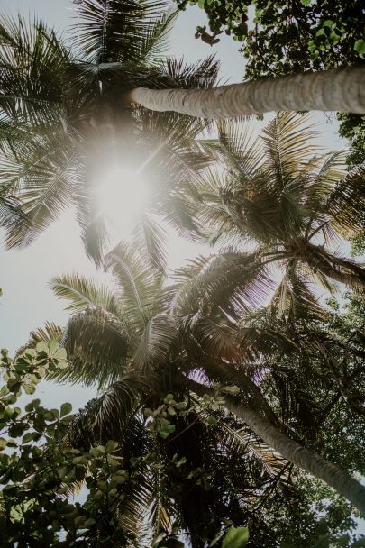 Un mariage végétal en colombie - Photos : Lorenzo Accardi - Blog mariage : La mariée aux pieds nus