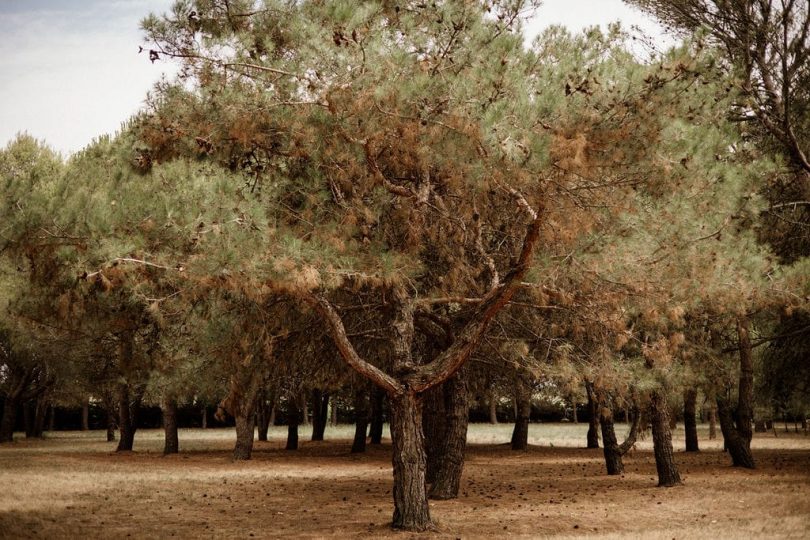 Un mariage coloré près de Narbonne dans l'Aude - Photos : Dall'k - Blog mariage : La mariée aux pieds nus