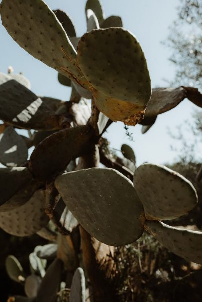 Un mariage en Corse - Photos : Aurélien Bretonnière - Blog mariage : La mariée aux pieds nus