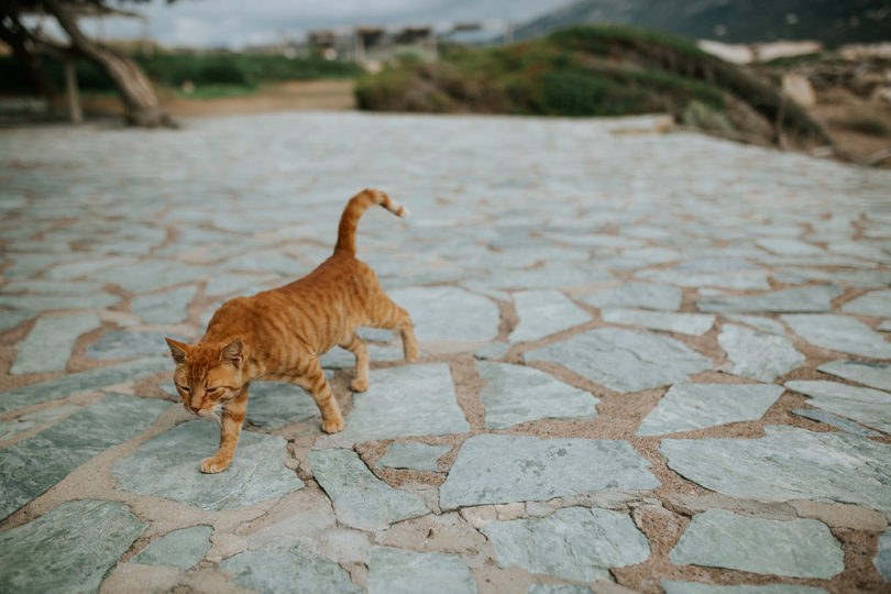 Un mariage coloré en Corse - A découvrir sur le blog mariage www.lamarieeauxpiedsnus.com - Photos : Karimage