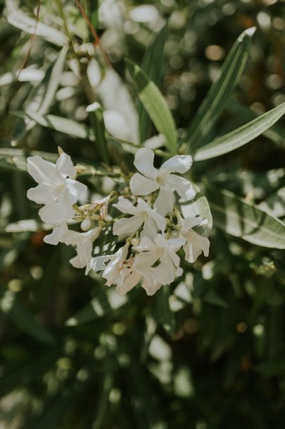 Un mariage simple en Corse - Photos : Madame B Photographie - Blog mariage : La mariée aux pieds nus