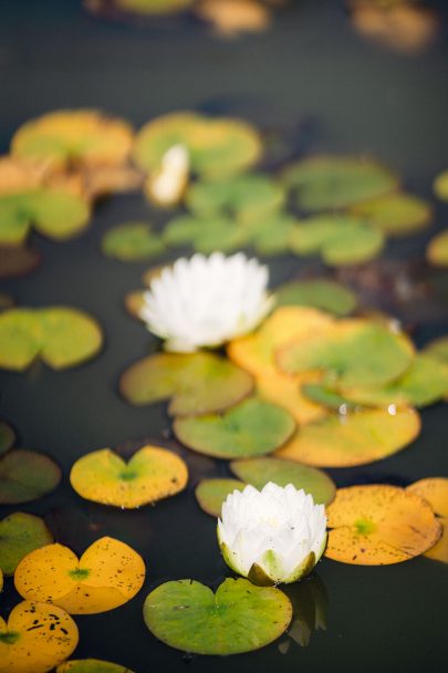 Un mariage à la Dîme de Giverny en Normandie - Photos : Capyture - Blog mariage : La mariée aux pieds nus