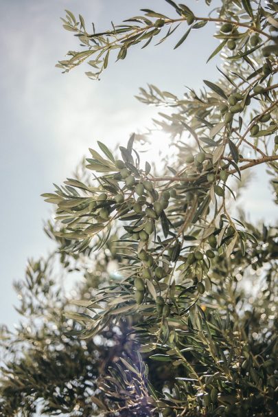 Un mariage au Domaine de Sarson en Provence - Photos : Albane Delacommune - Blog mariage : La mariée aux pieds nus