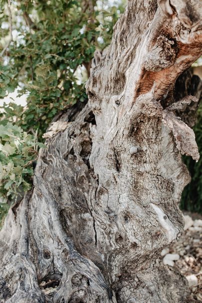 Un mariage bohème au Domaine des Grillons en Provence - Photos : Alchemia Wedding - Blog mariage : La mariée aux pieds nus