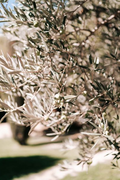 Un mariage au Domaine du Petit Roulet en Provence - Photos : Delphine Closse - Bog mariage : La mariée aux pieds nus