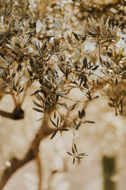 Un mariage au Domaine du Petit Roulet en Provence - Photos : Ghania Iratni - Blog mariage : La mariée aux pieds nus