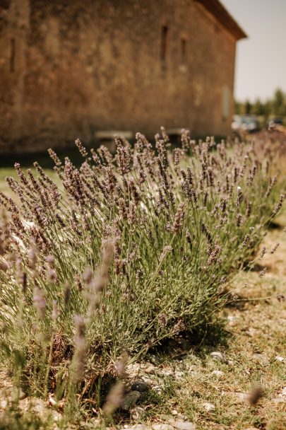 Un mariage au Domaine du Petit Roulet en Provence - Photos : Gabriel Lelièvre - Blog mariage : La mariée aux pieds nus