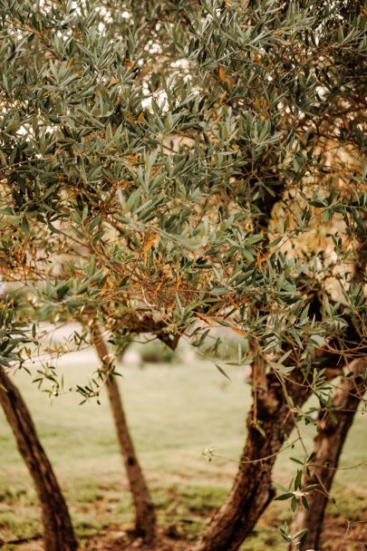 Un mariage au Domaine du Petit Roulet en Provence - Photos : Gabriel Lelièvre - Blog mariage : La mariée aux pieds nus