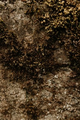 Un mariage éco-responsable au Bois Basalt en Auvergne - Photos : Anne Sophie Benoit - Blog mariage: : La mariée aux pieds nus