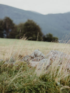 Un mariage petit budget en petit comité dans une auberge des Vosges - A découvrir sur le blog mariage www.lamarieeauxpiedsnus.com - Photos : Capyture