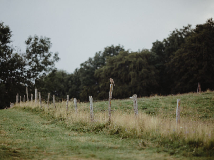 Un mariage petit budget en petit comité dans une auberge des Vosges - A découvrir sur le blog mariage www.lamarieeauxpiedsnus.com - Photos : Capyture