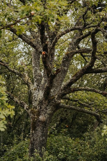 Des fiançailles sous la pluie dans une bergerie du Var - Photos : VAléry Villard - Blog mariage : La mariée aux pieds nus