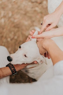 Des fiançailles sous la pluie dans une bergerie du Var - Photos : VAléry Villard - Blog mariage : La mariée aux pieds nus