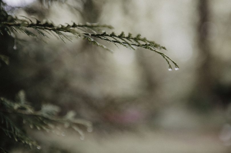 Un mariage folk dans la forêt - La mariée aux pieds nus