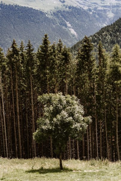 Un mariage au Gite du Passant en Haute-Savoie - Photos : Laurent Brouzet - Blog mariage : La mariée aux pieds nus