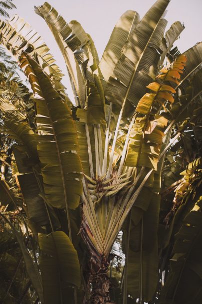 Un mariage dans une hacienda au Mexique - Photos : Jérémy Boyer - Robe : Rue de Seine - Blog mariage : La mariée aux pieds nus