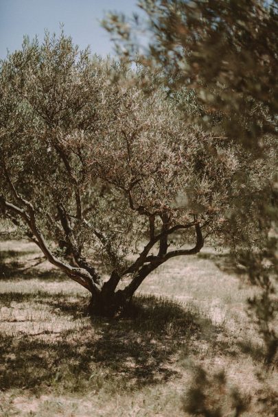 Un mariage au Hameau des Baux en provence - Photos : Reego - Blog mariage : La mariée aux pieds nus