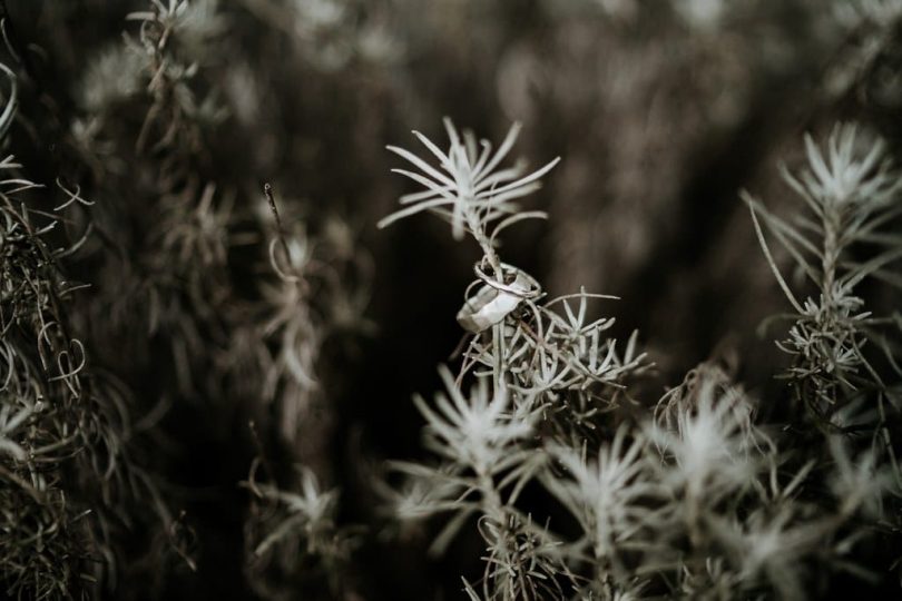 Un mariage éco-responsable en hiver - Photographe : Aurélien Bretonnière - Blog mariage : La mariée aux pieds nus