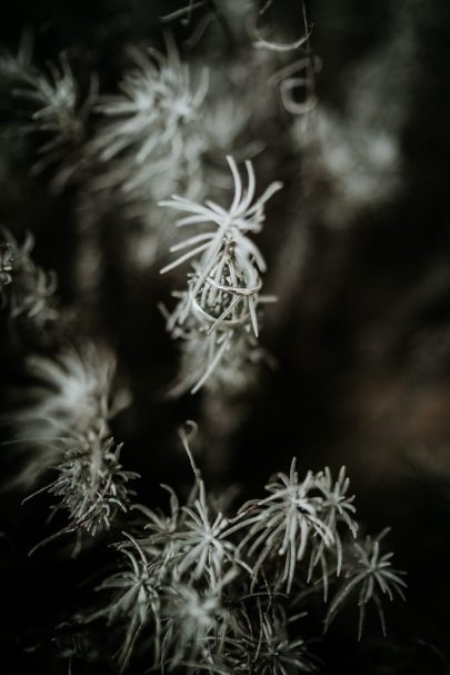 Un mariage éco-responsable en hiver - Photographe : Aurélien Bretonnière - Blog mariage : La mariée aux pieds nus