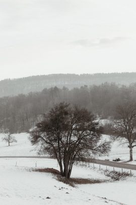 Un mariage en hiver sous la neige en Alsace - Photos : Capyture - Blog mariage : La mariée aux pieds nus