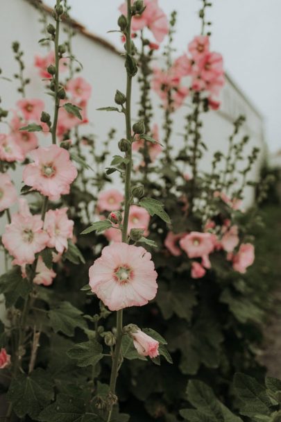 Un mariage en petit comité sur l'île de Ré - Photographe : Lorenzo Accardi - Blog mariage : La mariée aux pieds nus