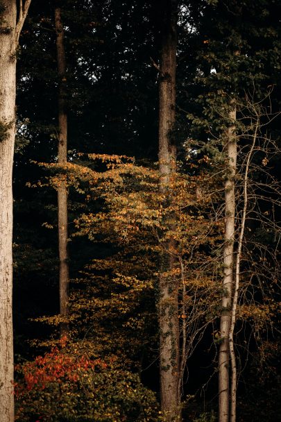 Un mariage intime en pleine forêt au Domaine de La Roche Couloir - Photos : Mélody Barabé - Blog mariage : La mariée aux pieds nus