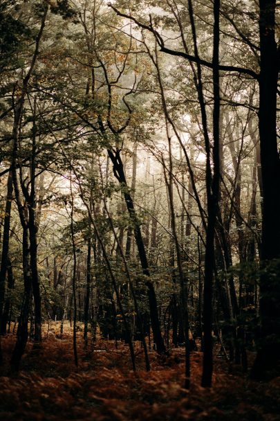 Un mariage intime en pleine forêt au Domaine de La Roche Couloir - Photos : Mélody Barabé - Blog mariage : La mariée aux pieds nus