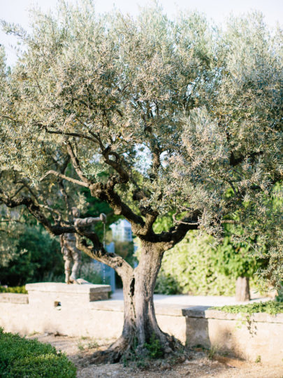 Un mariage chic et élégant dans le Luberon - La mariée aux pieds nus - Ian Holmes Photography