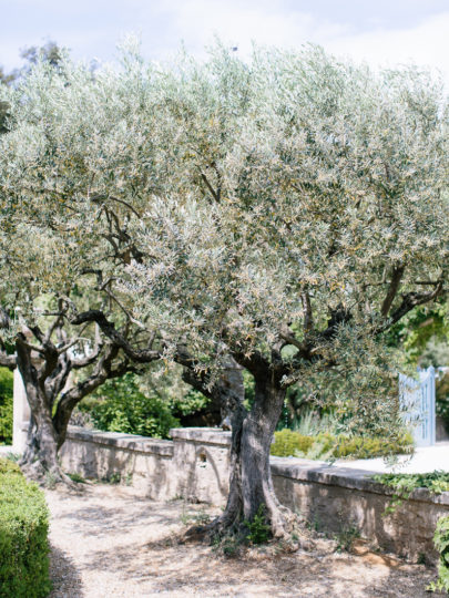 Un mariage chic et élégant dans le Luberon - La mariée aux pieds nus - Ian Holmes Photography