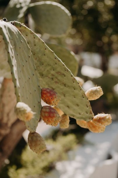 Un mariage à la Masseria il Melograno dans les Pouilles - Photos et video : The Quirky - Wedding planner : Atelier Blanc