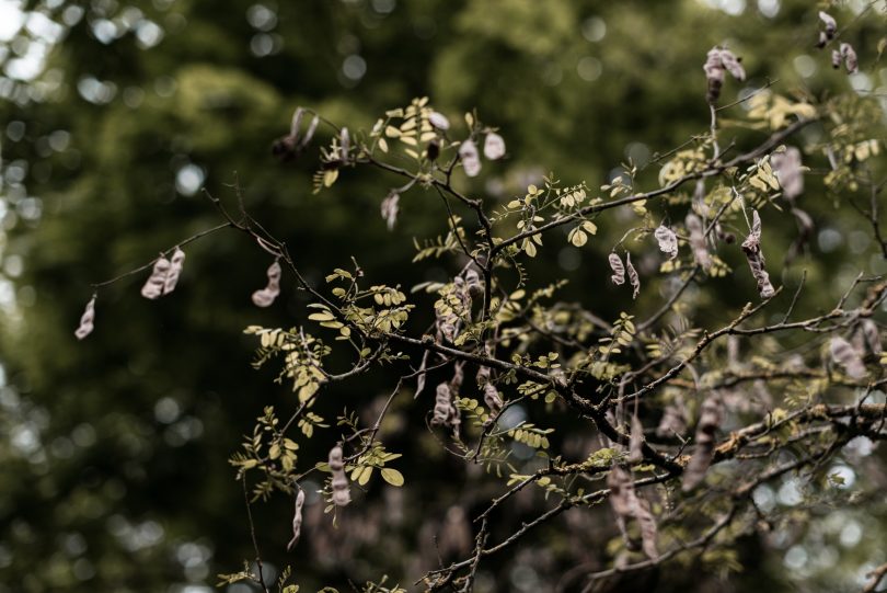 Un mariage en petit comité au Moulin de Mourette - Photos : Chloé Fayollas - Nlog Mariage : La mariée aux pieds nus.