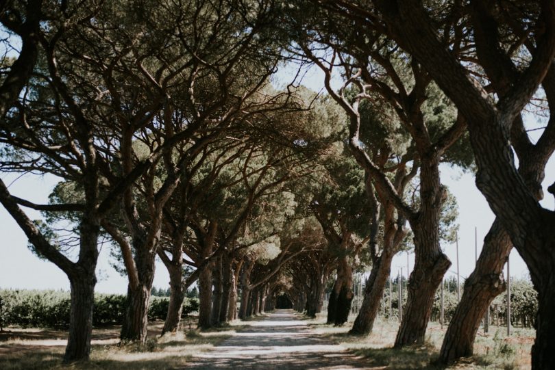 Un mariage au Domaine de Villary près de Nimes - Photos : Phan Tien Photography - Blog mariage : La mariée aux pieds nus