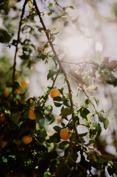 Un mariage au Prieuré de Badasset en Provence - Photos : Caroline Robi - Blog mariage : La mariée aux pieds nus