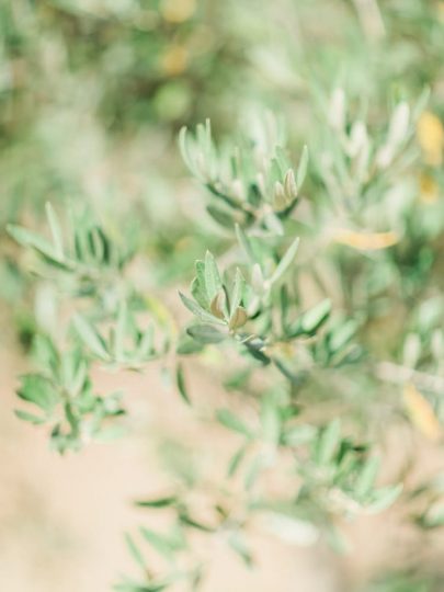 Un mariage en Provence - Photos : Thoma Raboteur - Blog mariage : La mariée aux pieds nus