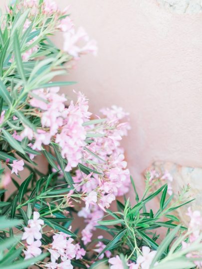 Un mariage en Provence - Photos : Thoma Raboteur - Blog mariage : La mariée aux pieds nus