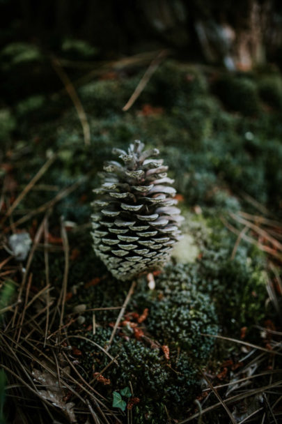 Un mariage rustique et champêtre dans une forêt des Landes - A découvrir sur le blog mariage www.lamarieeauxpiedsnus.com - Photos : Yoris Photographe