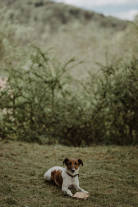 Un mariage simple et rustique en alsace - A découvrir sur le blog mariage www.lamarieeauxpiedsnus.com - Photos : The Kicheners